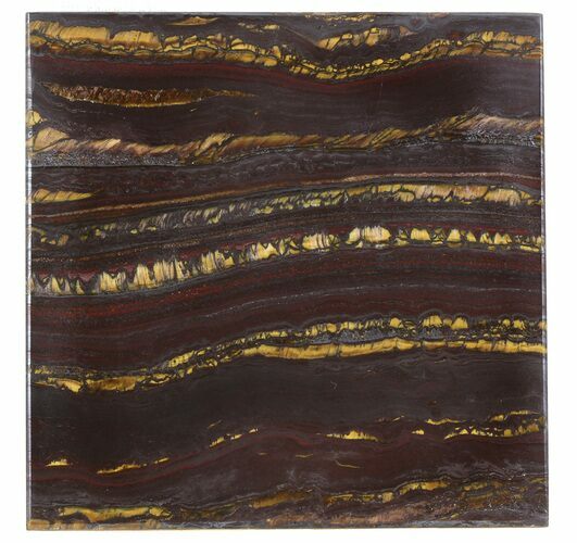 Tiger Iron Stromatolite Shower Tile - Billion Years Old #48808
